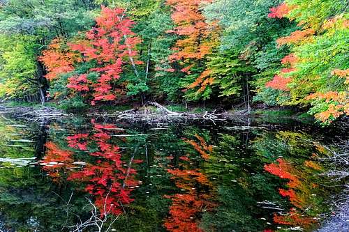 Autumn Color Reflections