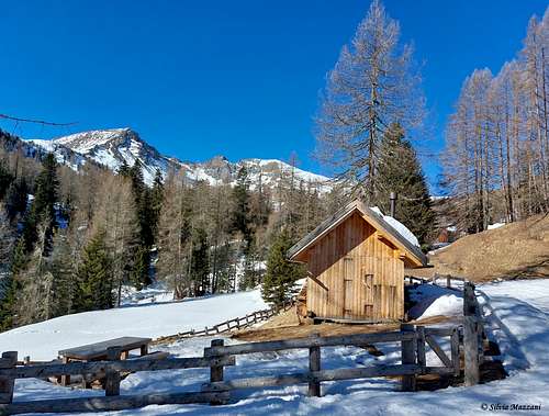 Tiny wooden cabin en route to Monte Sief