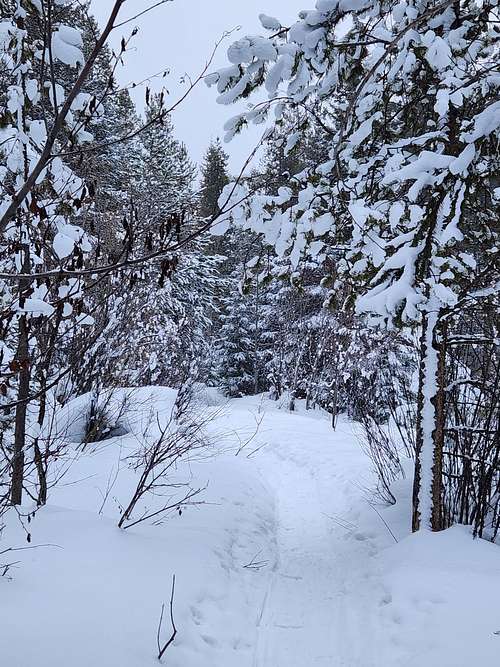 Snowshoeing the trail around Monarch Lake