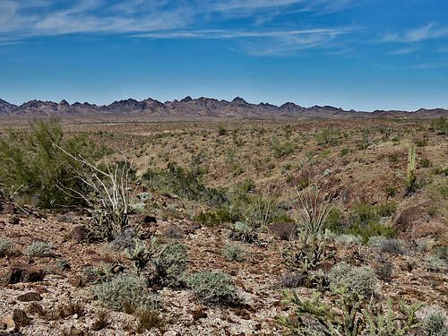 Hiking the desert floor