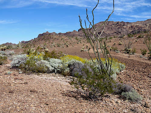 Hiking the desert floor