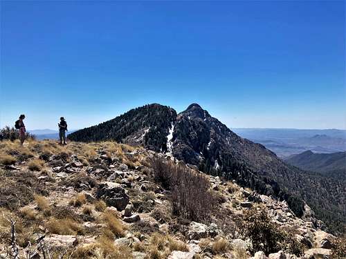 Summit view to Mount Wrightson
