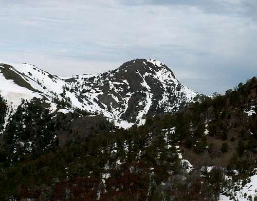 Meridian Peak from the slopes...