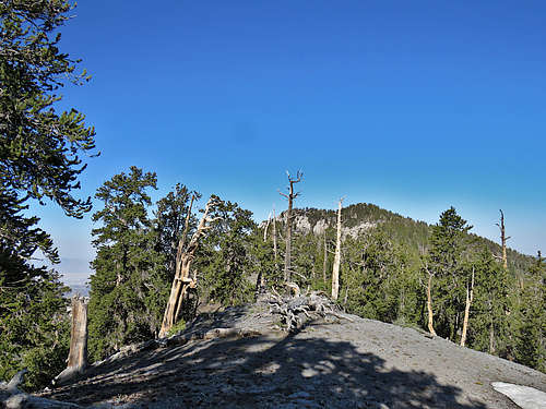 Summit of Amargosa Overlook