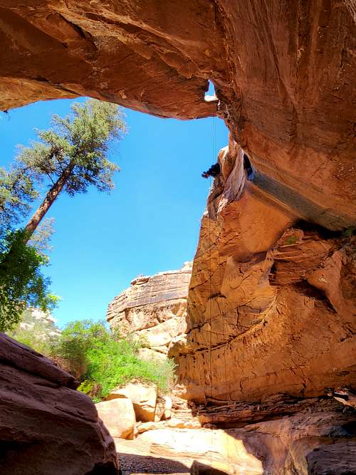 Rappel in Burch Canyon