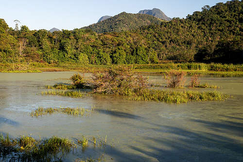 REGUA - reserva ecológica de Guapiaçu