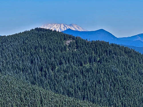 Zoomed view of Mt. St. Helens from the summit of Table Mountain