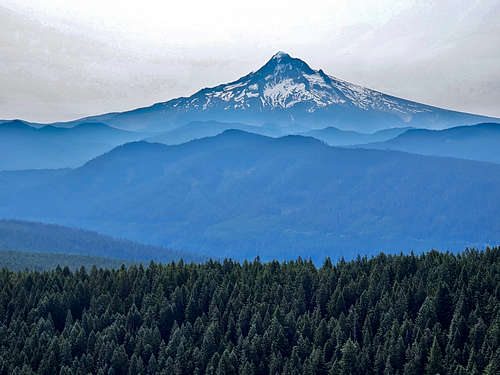 Zoomed view of Mt. Hood from the summit of Larch Mountain
