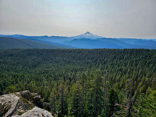 Mount Hood from the summit of Larch Mountain