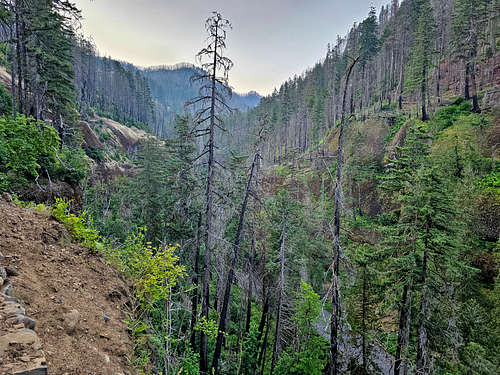Eagle Creek Canyon
