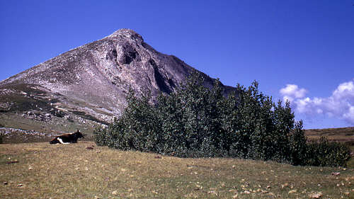 Monte Tozzo Corsica