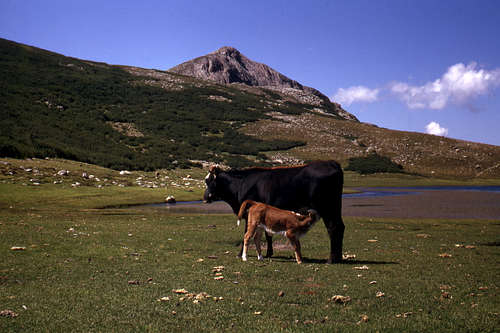 Monte Tozzo et Lac de Nino