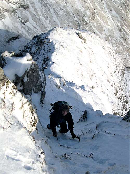 Penelope is nearing the central gully, Sron na Larig Ridge in winter.