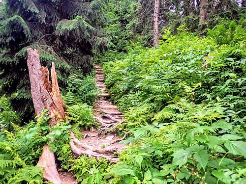 best hikes in poland