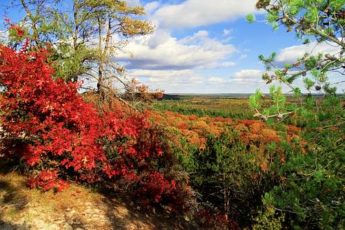Autumn Color on Wildcat Mound