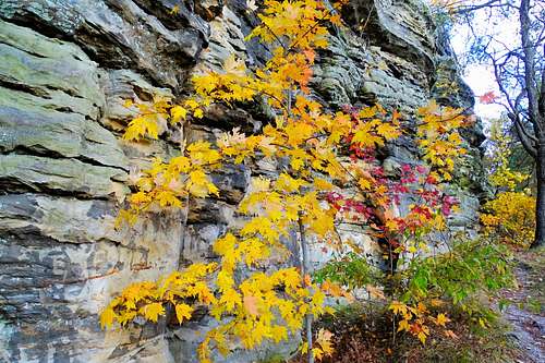 Autumn Color Along Wildcat Bluffs