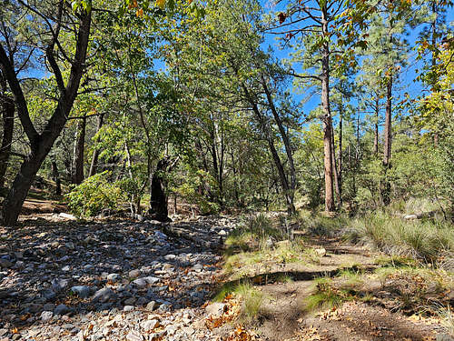 Dry Pinery Creek bed