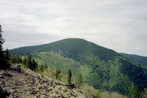A view of Whitewater Baldy.