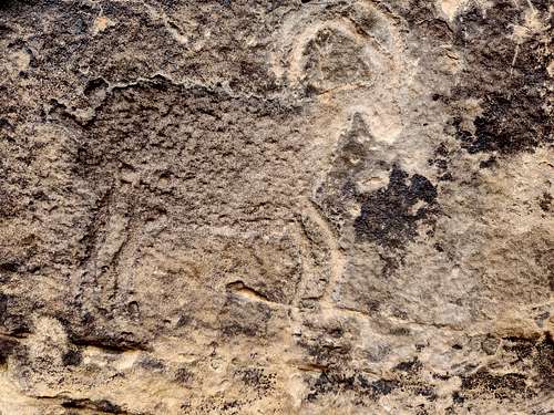 Petroglyph in Carrizo Canyon