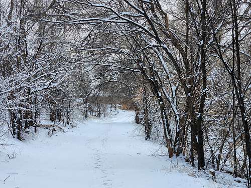 A snowy day along the Rita Blanca Trail in Texas