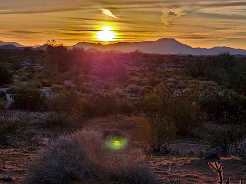 Harcuvar Peak, East Cactus Plain, AZ