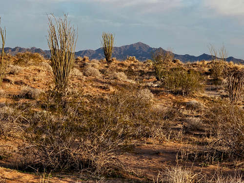 Planet Peak, East Cactus Plain, AZ