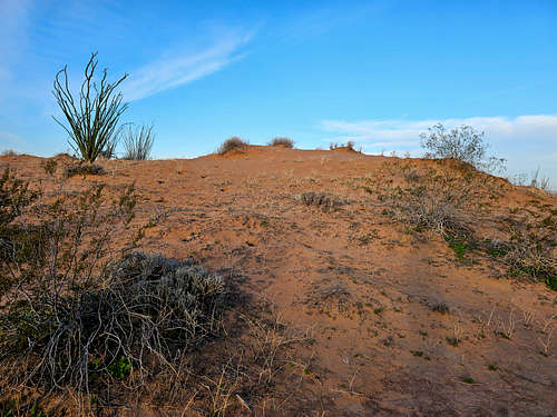 Sand dune, East Cactus Plain, AZ