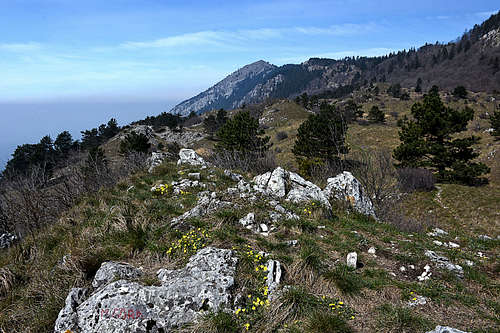 On the summit of Mala gora