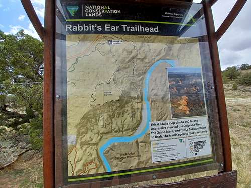 Rabbit's Ear Mesa Trailhead Map
