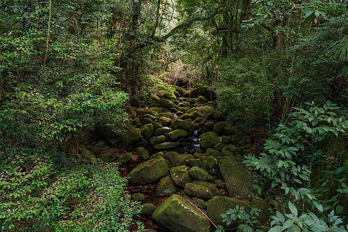 rio Paquequer