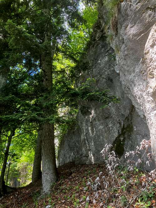 Burgstaller Höhe, rock wall