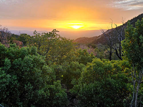 Sunrise, on Miller Canyon Trail