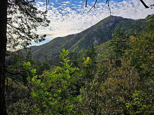 Summit of Miller Peak