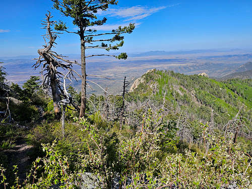 Looking northwest, near the summit of Miller Peak