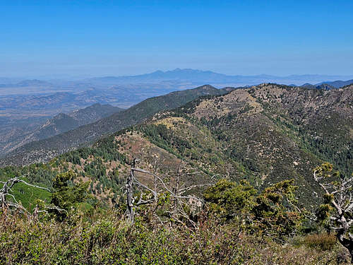 Mt. Wrightson in the distance