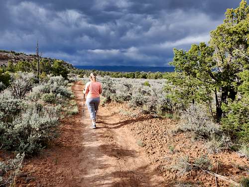 Upper Liberty Cap Trail