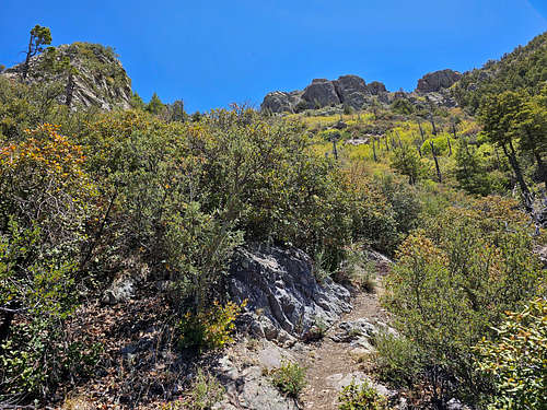 On Crest Trail