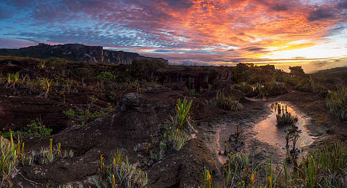 akopan tepui summit