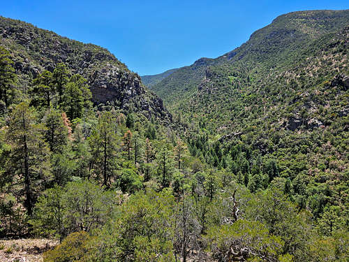 Ramsey Peak and Ramsey Canyon