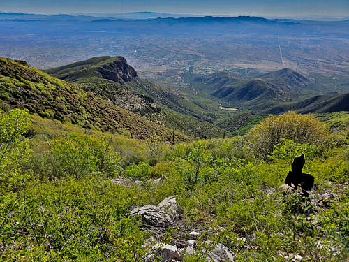 Mt. Ballard and the very distant Chiricahua Mountains