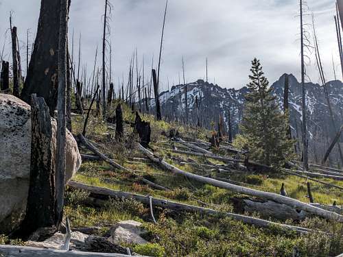 Looking up towards the Methow Pinnacle summit from the open middle slopes