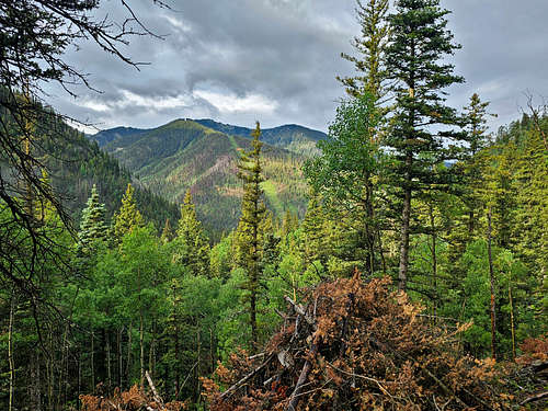 On Long Canyon Trail