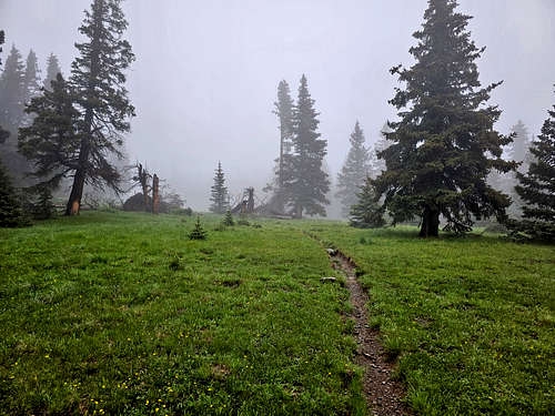 Toward Gold Hill summit