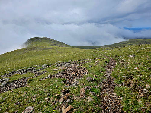 Below the summit of Gold Hill