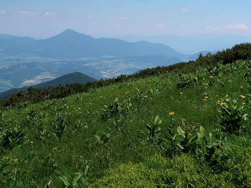 Veľký Choč from Stoh