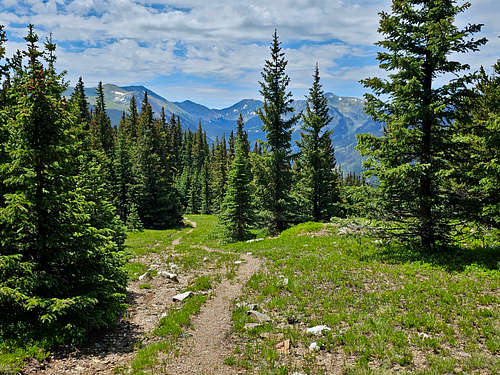 Wheeler Peak, Peak 12728 ft, Peak 12819 ft and Lake Fork Peak