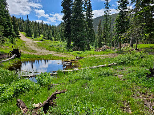 Bull-of-the-Woods Pasture