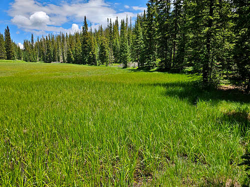 Bull-of-the-Woods Pasture