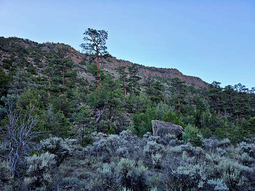 Rio Grande Canyon, Little Arsenic Trail