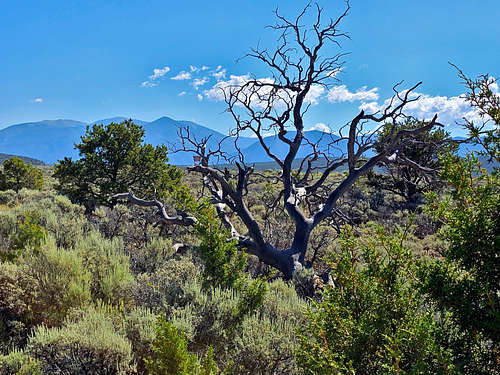 Looking toward Latir Venado Wilderness